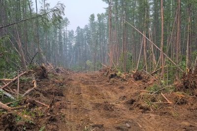 Commercial Lot Clearing in Marietta, GA