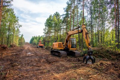 Clearing Forests